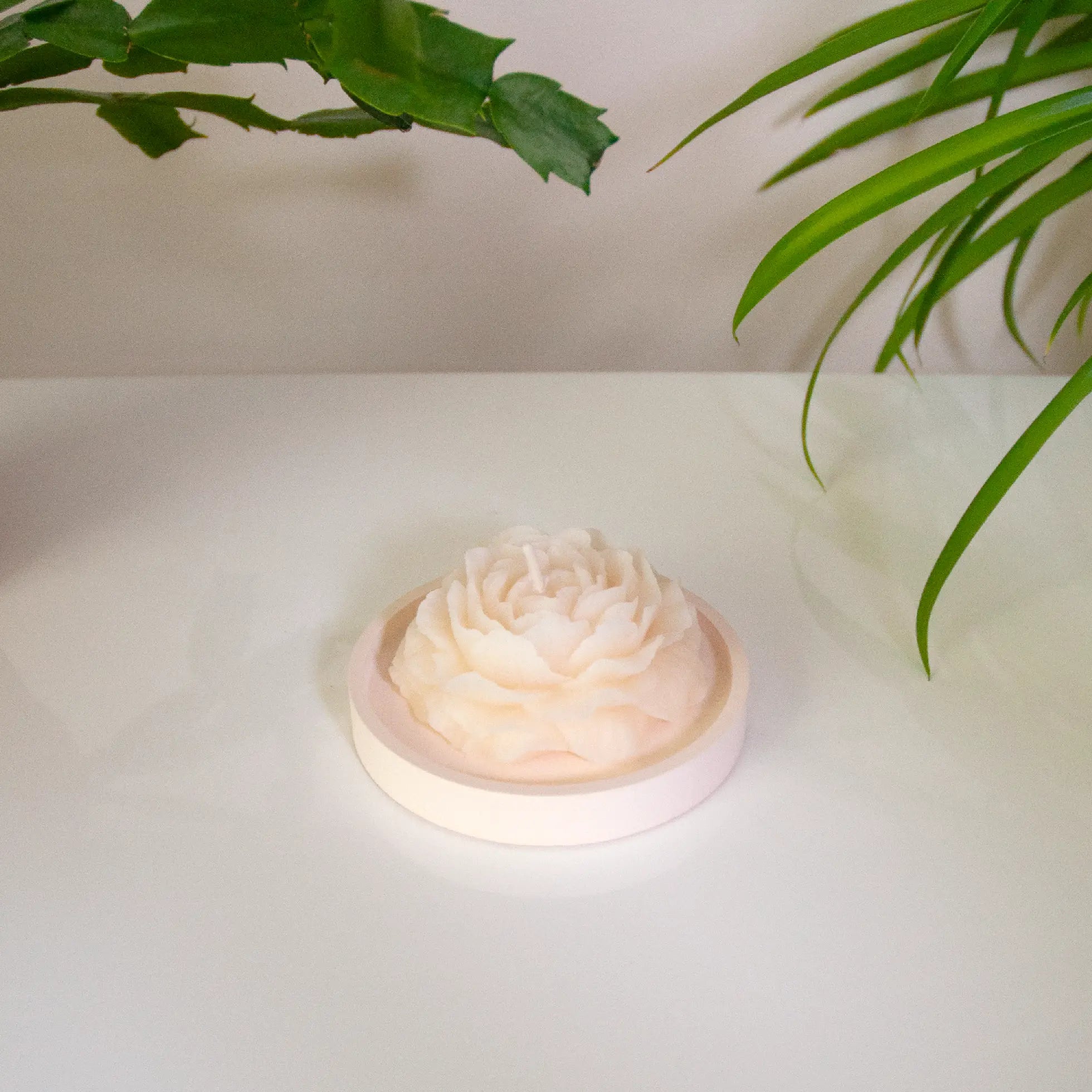 PIVOINE – Bougie parfumée en cire d’abeille blanche colorée naturellement Maison Kunda