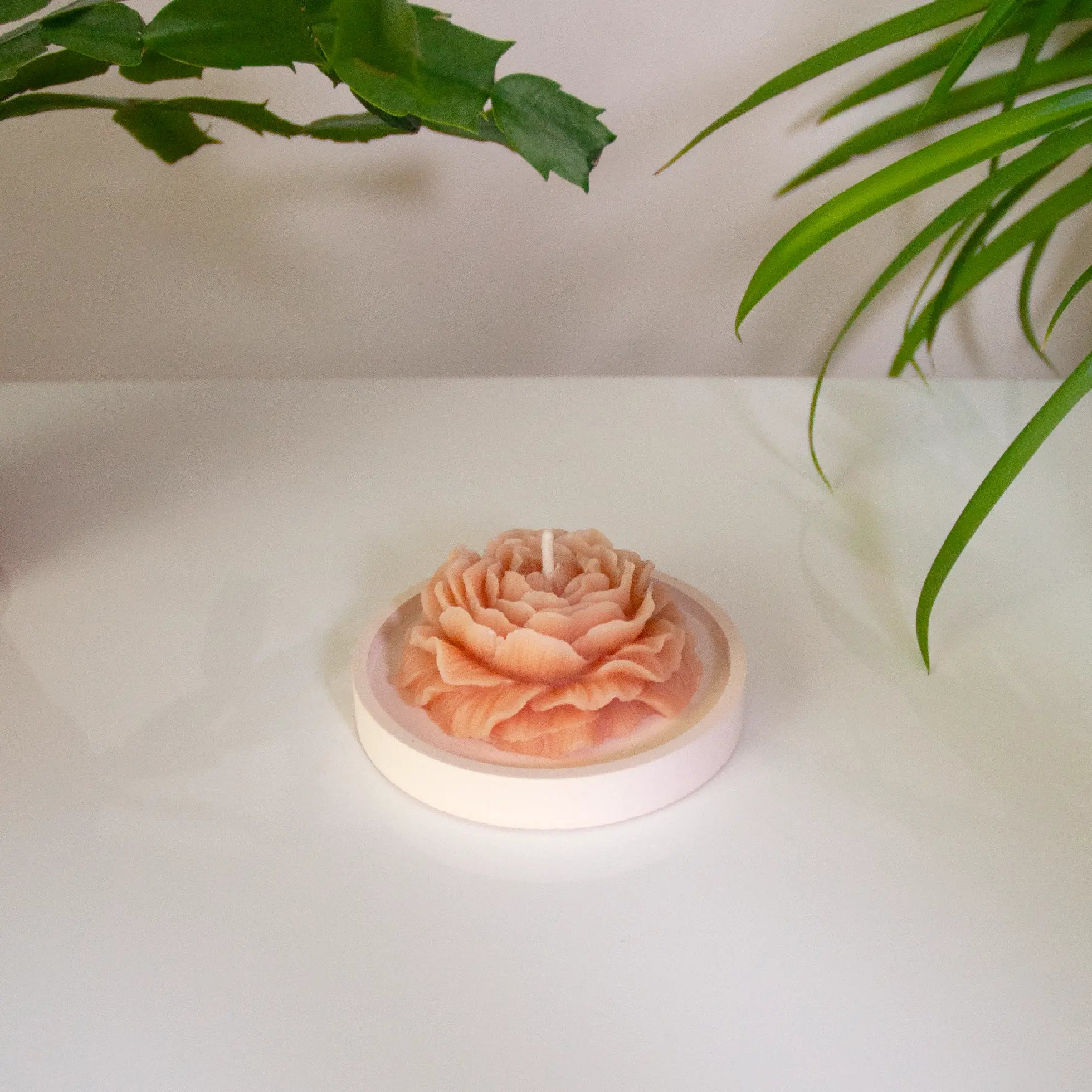 PIVOINE – Bougie parfumée en cire d’abeille blanche colorée naturellement Maison Kunda