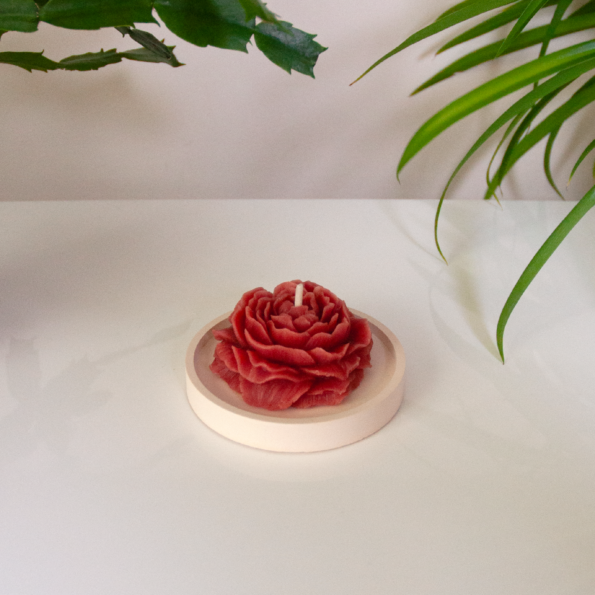 PIVOINE – Bougie parfumée en cire d’abeille blanche colorée naturellement