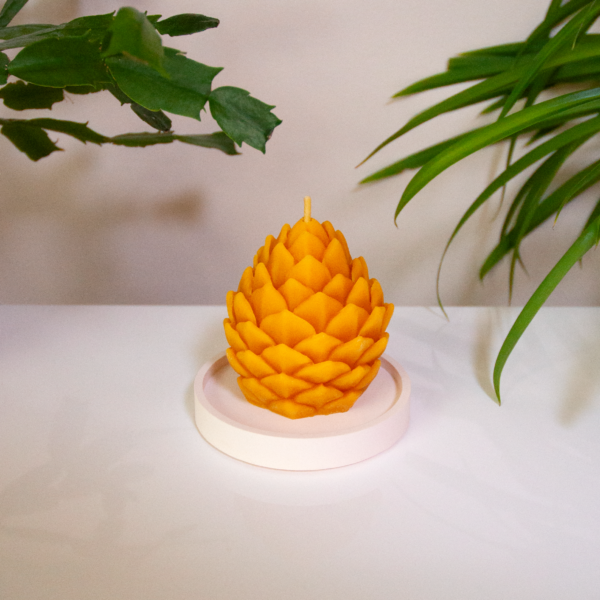 POMME DE PIN – Bougie en cire d’abeille jaune naturelle du Québec
