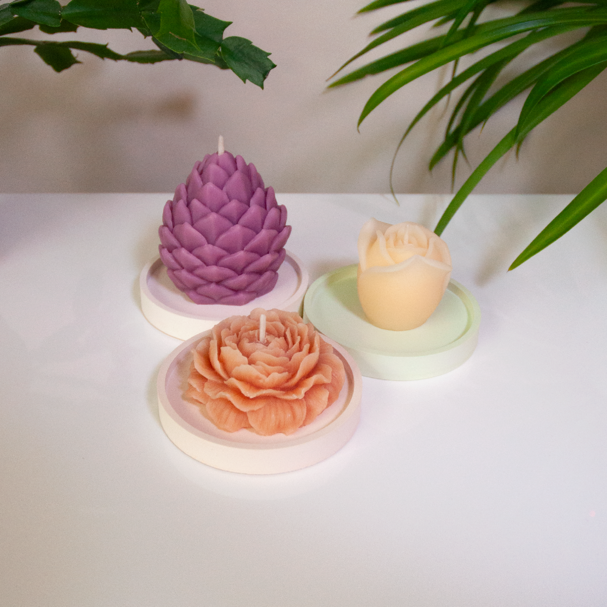 POMME DE PIN – Bougie parfumée en cire d’abeille blanche colorée naturellement