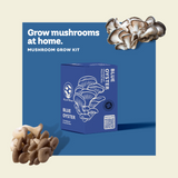 Kit de culture de champignon Pleurote bleu