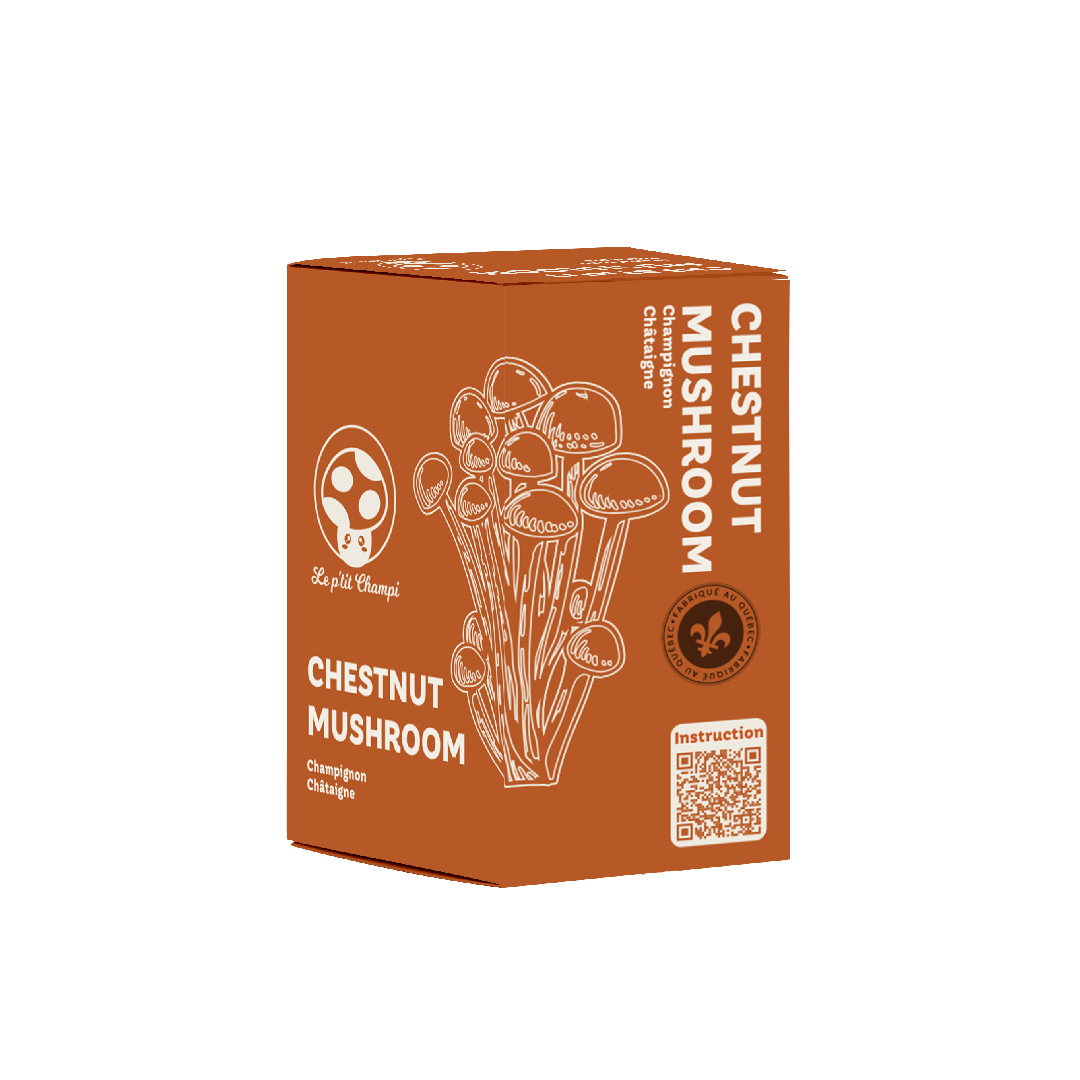 Kit de culture de champignon Châtaigne