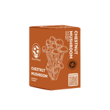 Kit de culture de champignon Châtaigne