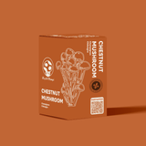 Kit de culture de champignon Châtaigne