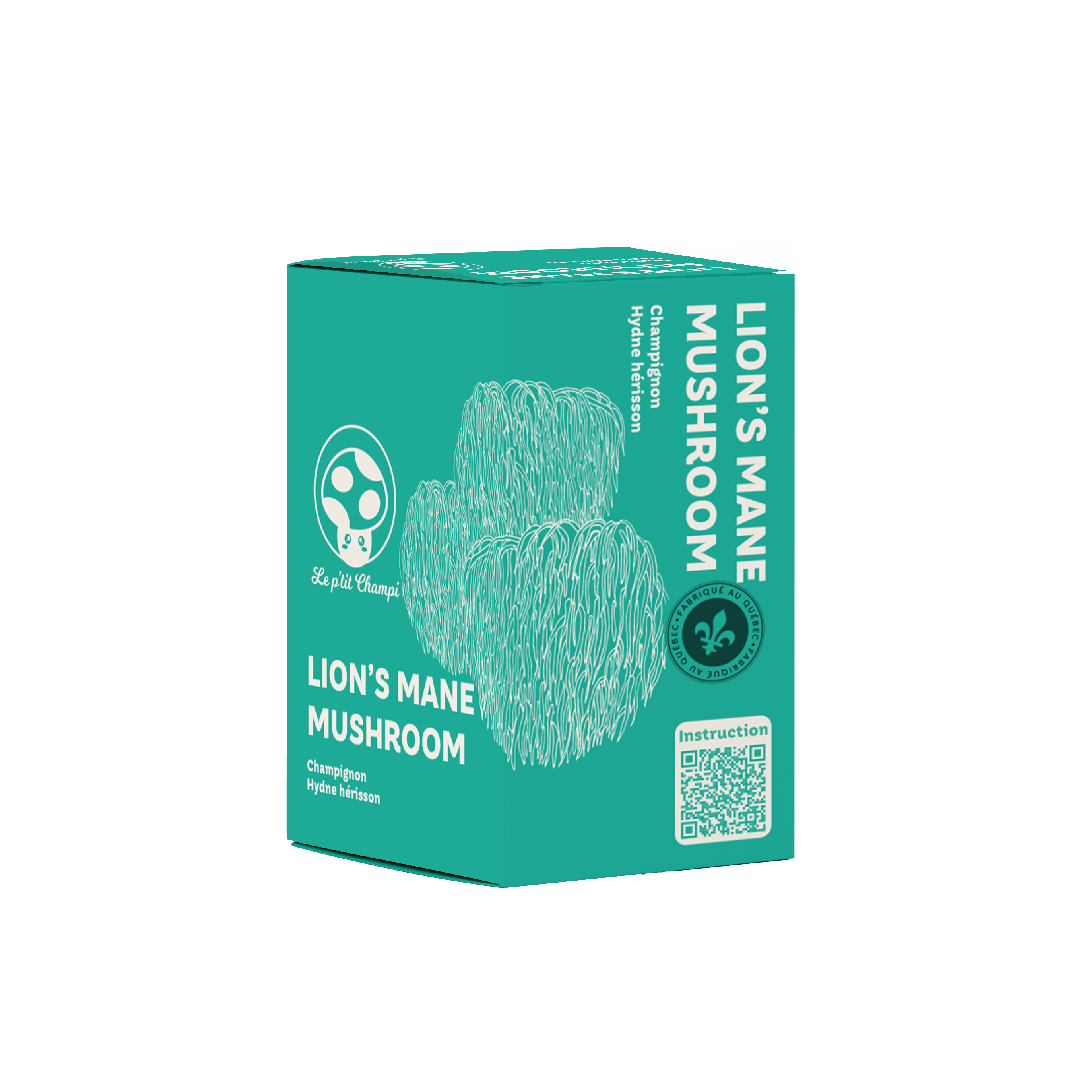 Kit de culture de champignon Hydne Hérisson