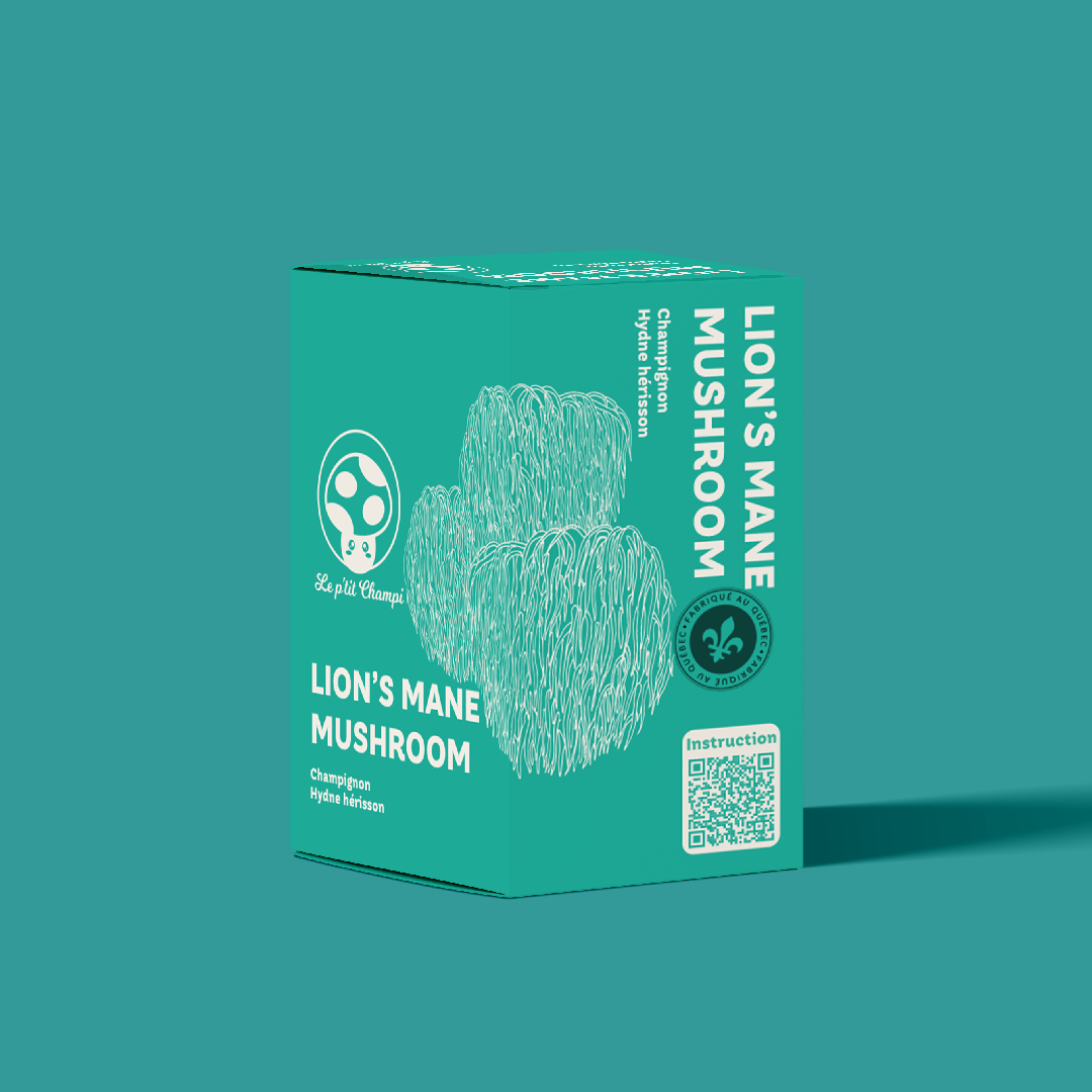 Kit de culture de champignon Hydne Hérisson
