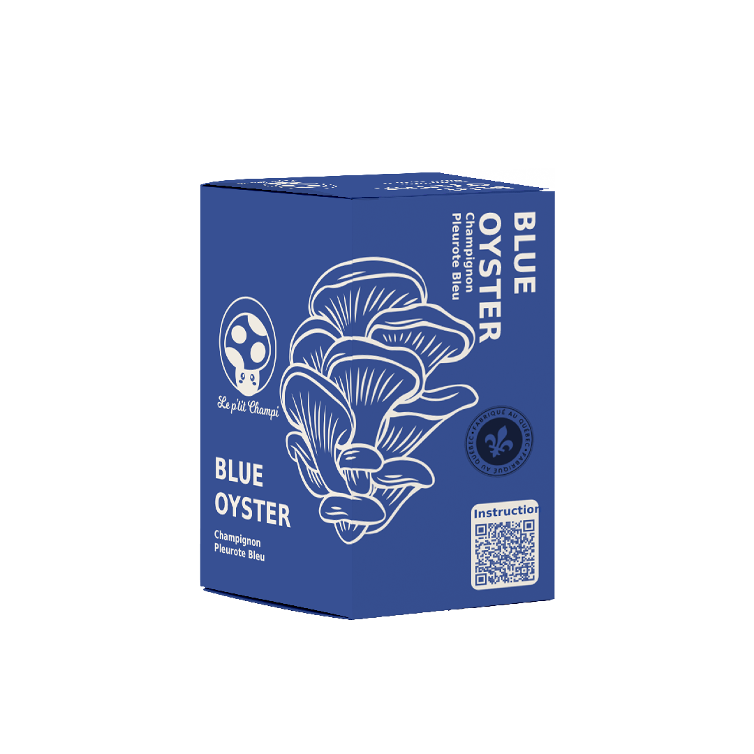 Kit de culture de champignon Pleurote bleu