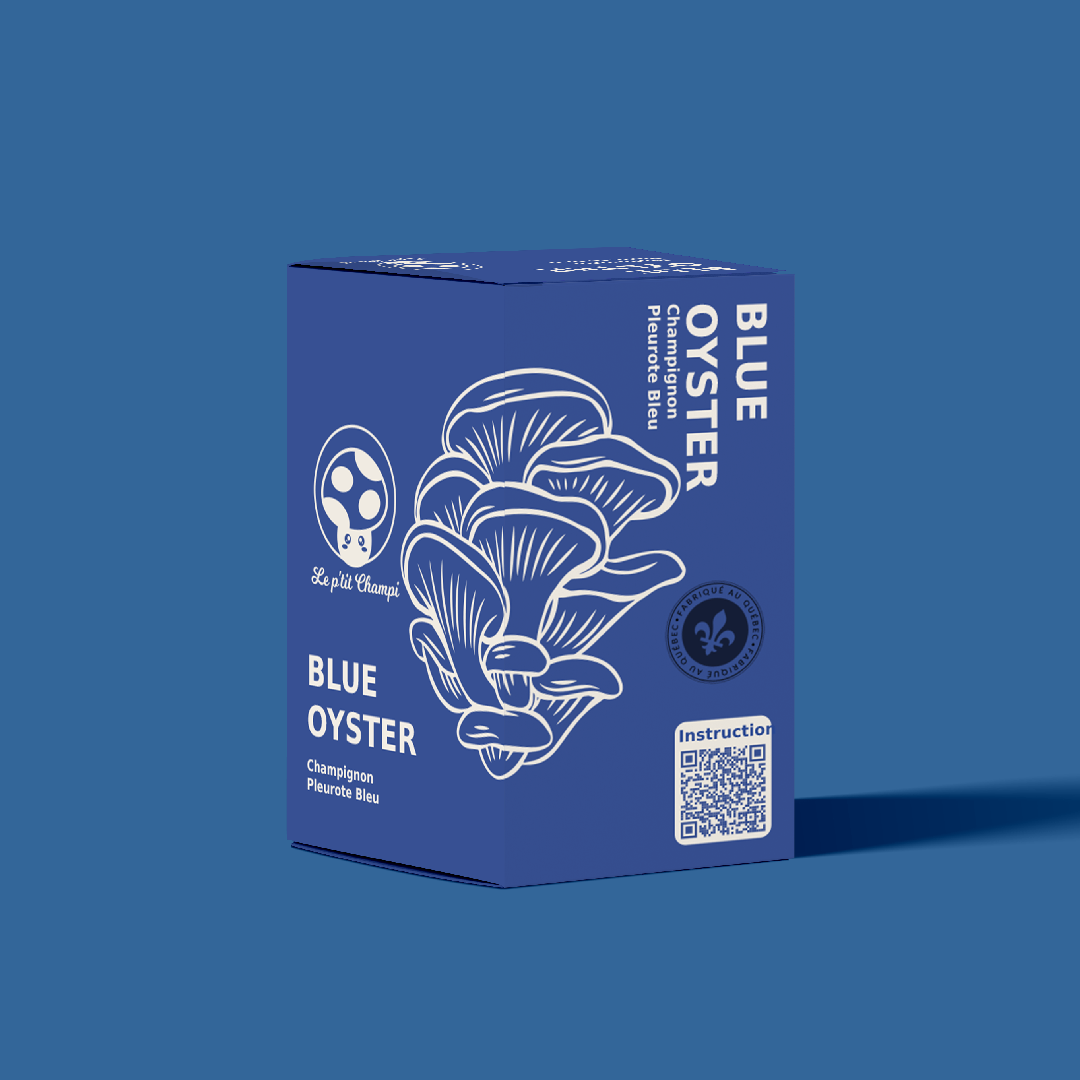 Kit de culture de champignon Pleurote bleu