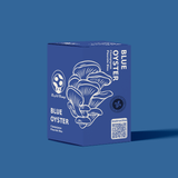 Kit de culture de champignon Pleurote bleu