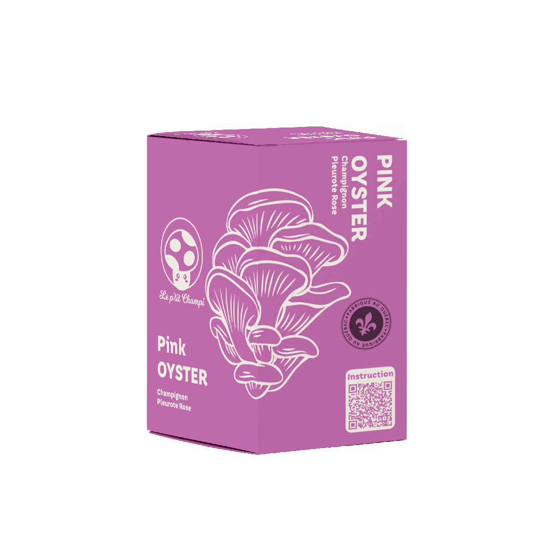Kit de culture de champignon Pleurote rose