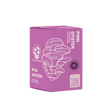 Kit de culture de champignon Pleurote rose