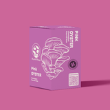 Kit de culture de champignon Pleurote rose