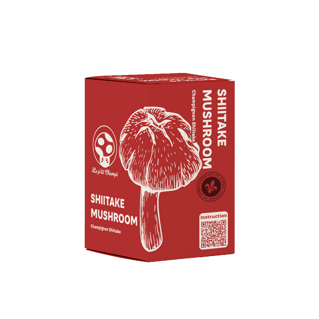 Kit de culture de champignon Shiitake Le Petit Champi - sac de mycélium prêt à cultiver à la maison