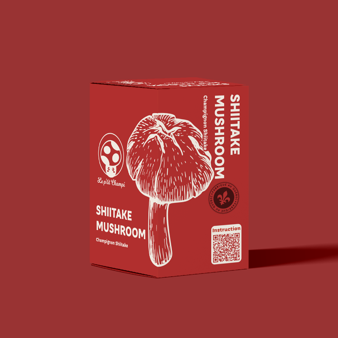 Kit de culture de champignon shiitake Le Petit Champi, à cultiver chez soi, substrat biologique