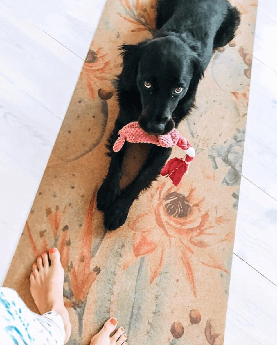 Tapis de yoga en liège Botanicals Scoria Canada, vue des pieds avec chien, motif végétal visible