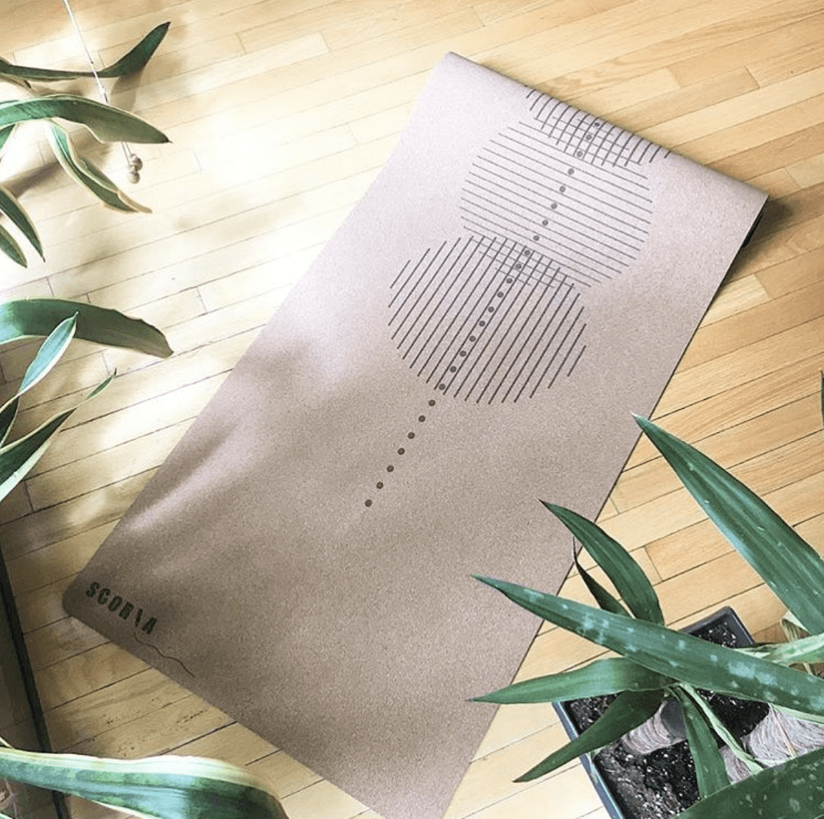 Pratique de yoga sur tapis en liège Revolve Scoria Canada, alignement corps, ambiance sanctuaire zen