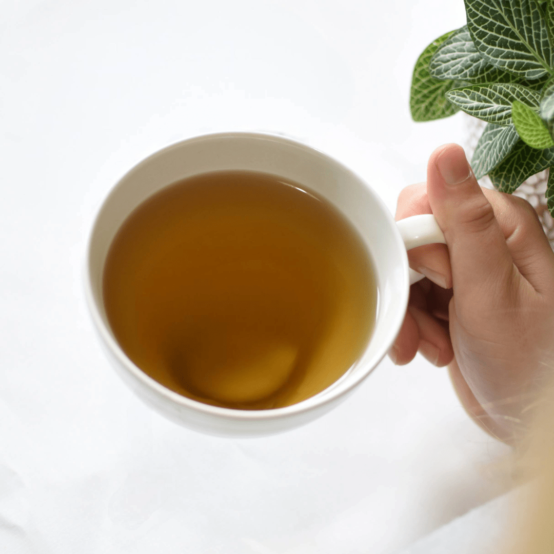 Tisane en vrac Floem: Thuya, lavande et feuilles du Labrador, dans tasse