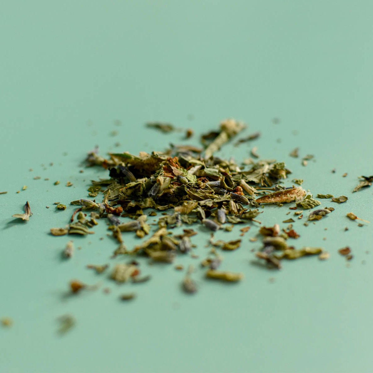 Tisane en vrac Floem: Thuya, lavande et feuilles du Labrador, proche